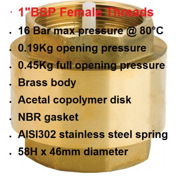 1" Check Valve NRV 407-1024