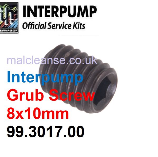 1 x Interpump Grub Screw M8x10 - 99.3017.00