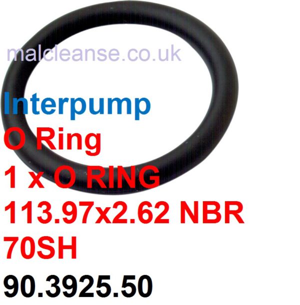1 x Interpump O Ring 2.62x113.97mm NBR 70SH - 90.3925.50