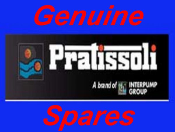 Pratissoli O RING 8810-1125-3