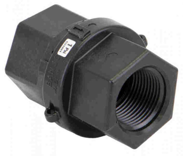 Check Valve 1" Females NPT 9901-CV100