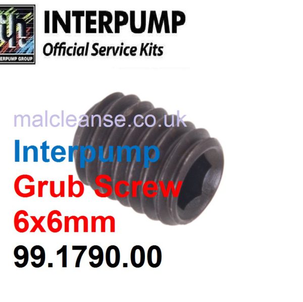 Interpump Grub Screw M6x6 - 99.1790.00
