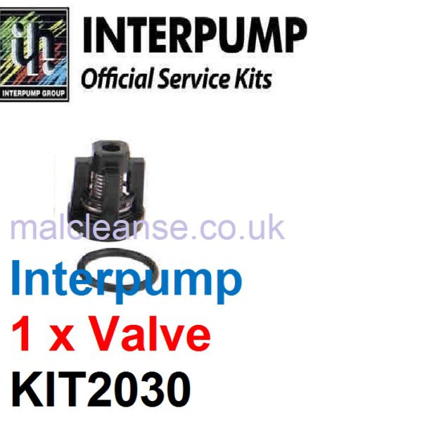 Interpump IPKIT2030 1 x Suction & Delivery Valve Kit