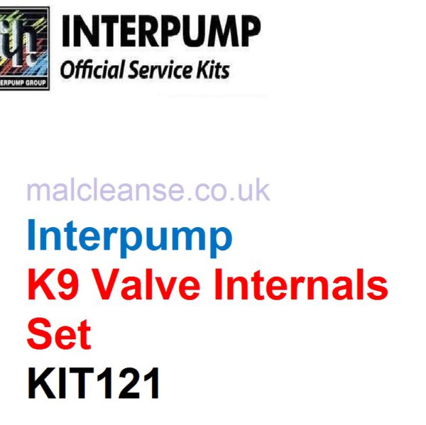 Interpump KIT121 1 x K9 Valve Internals Set