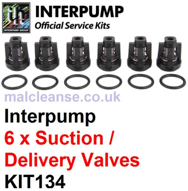 Interpump KIT134 6 x Suction & Delivery Valves