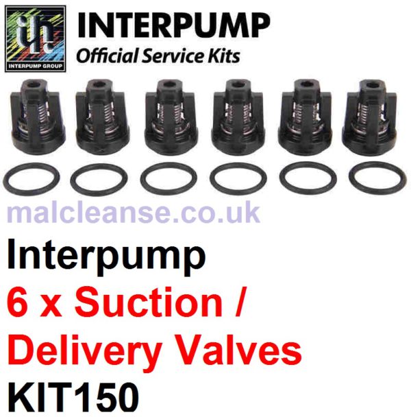 Interpump KIT150 6 x Suction & Delivery Valves