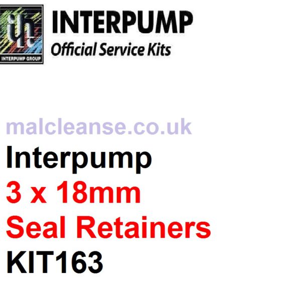 Interpump KIT163 3 x 18mm Seal Retainers