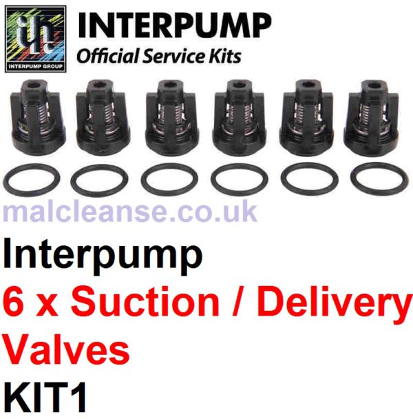 Interpump KIT1 - 6 x Suction & Delivery Valves