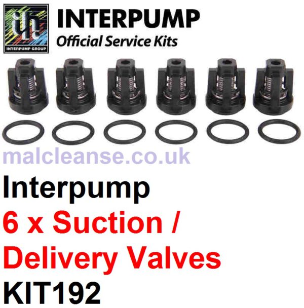 Interpump KIT192 6 x Suction & Delivery Valves