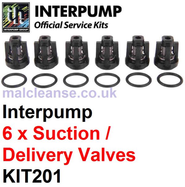 Interpump KIT201 6 x Suction & Delivery Valves