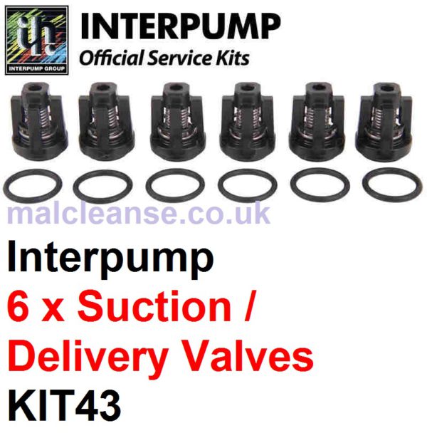 Interpump KIT43 6 x Suction & Delivery valves