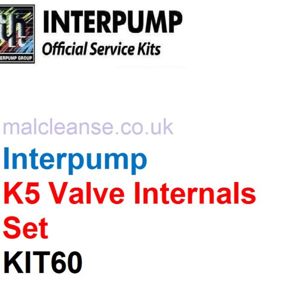 Interpump KIT60 1 x K5 Valve Internals Set