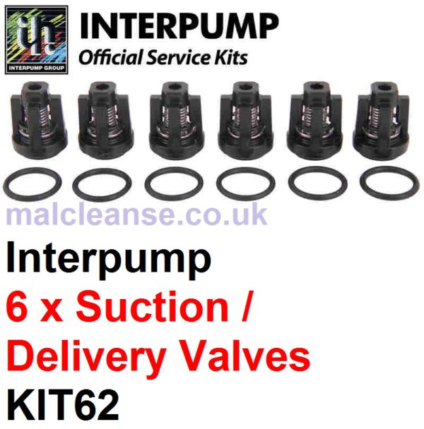Interpump KIT62 6 x Suction & Delivery Valves